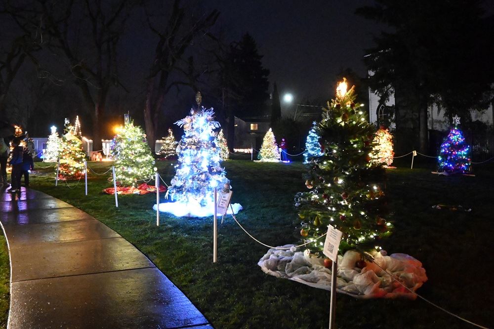 Uniquely decorated trees line the sidewalk at Overlook Park.